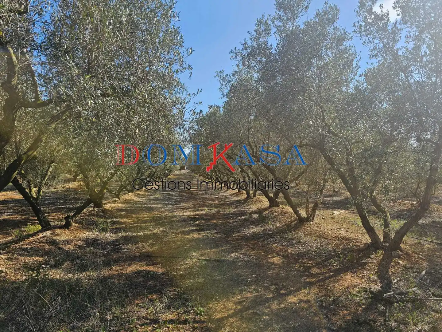 Rural land for sale in Roquetes, imagen 13