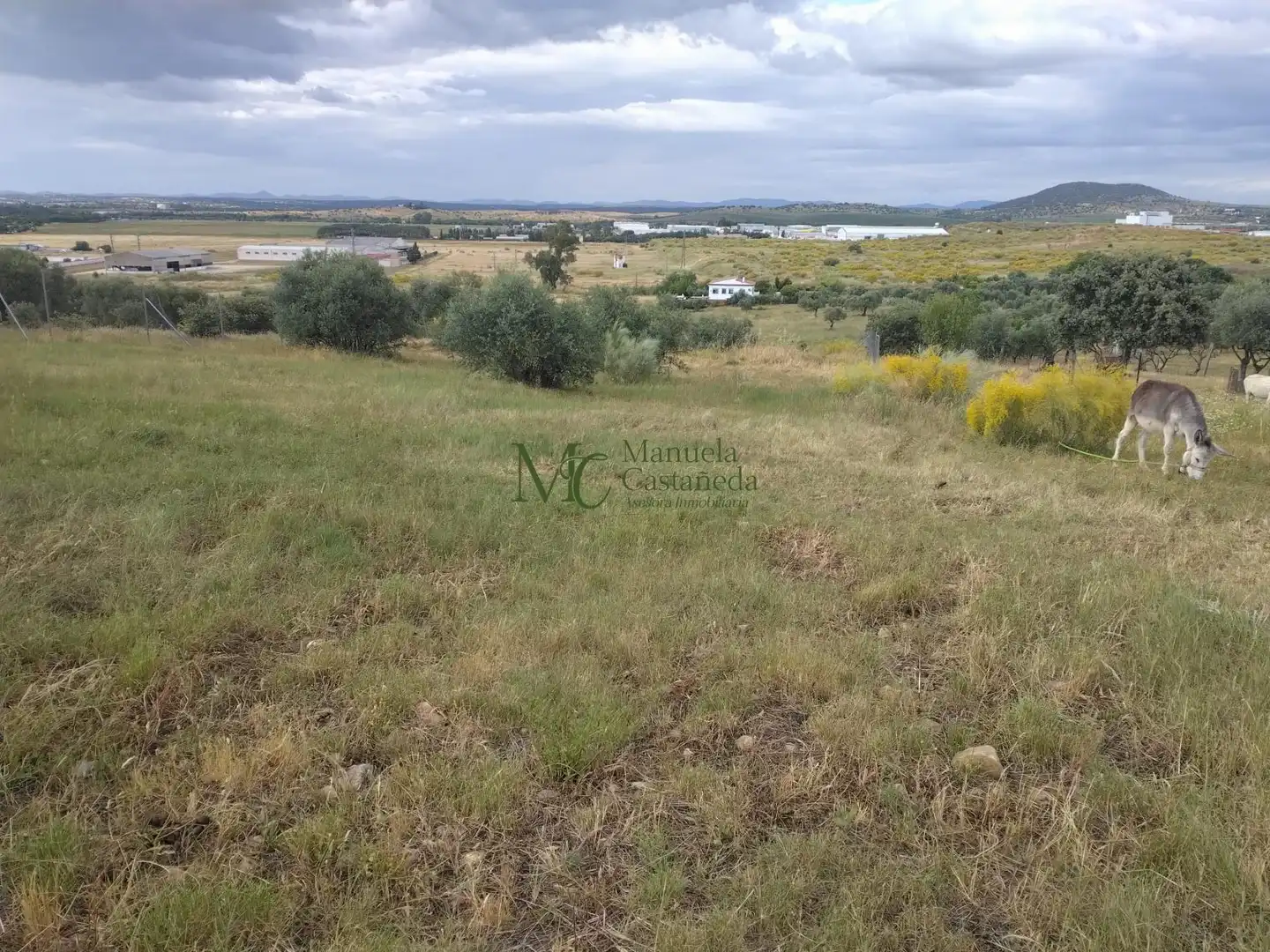 Finca rústica en venta en Mérida