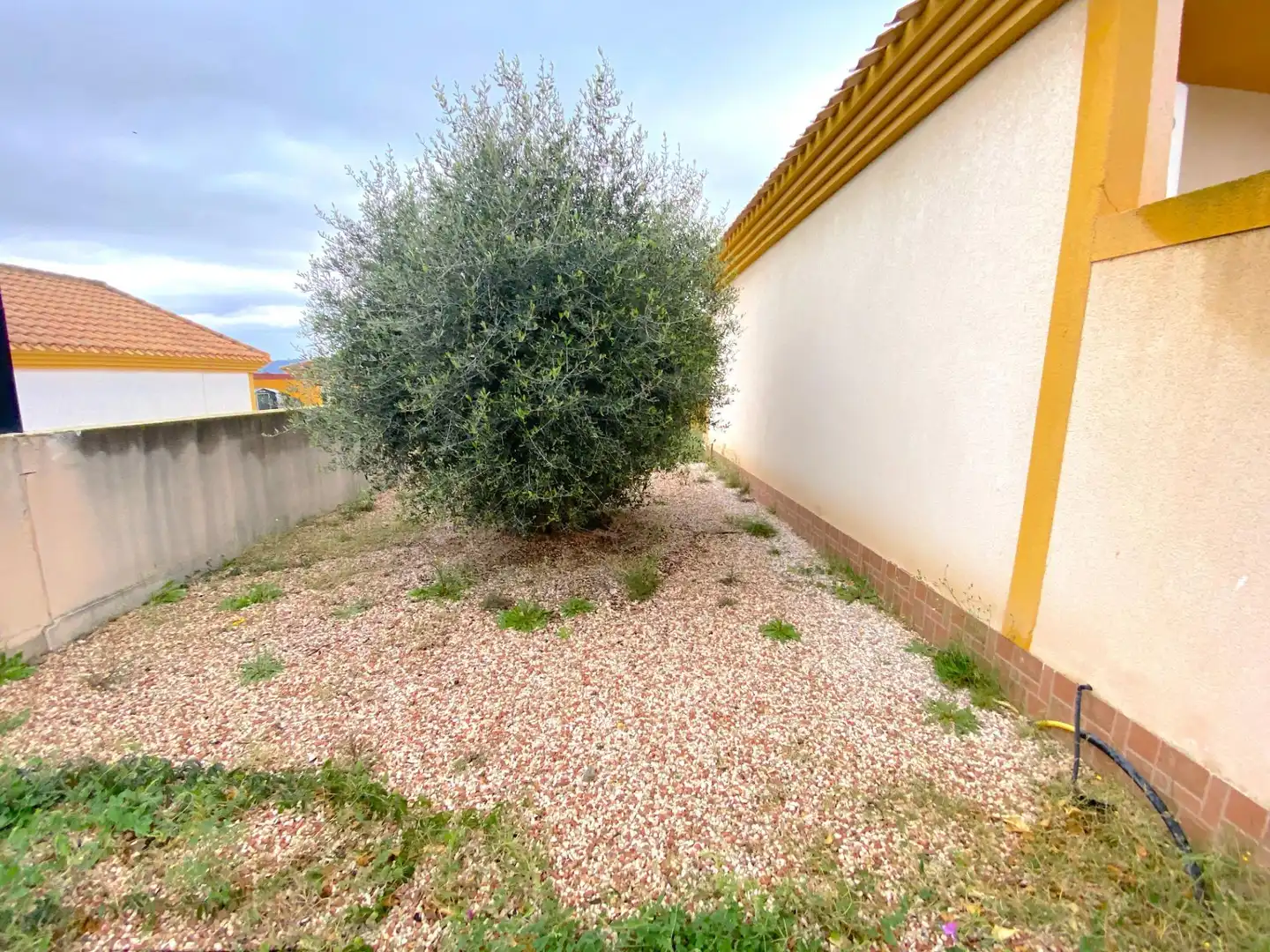 Jardí de Casa o xalet en venda en Mazarrón amb Jardí privat i Terrassa