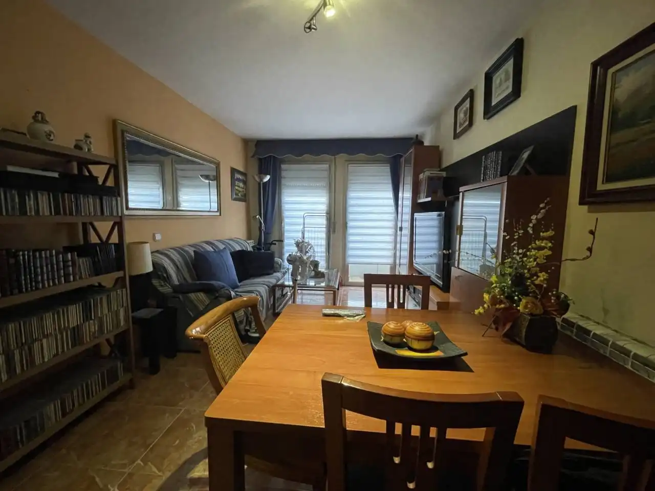 Sala de estar de Piso en venta en Olot con Calefacción, Terraza y Balcón