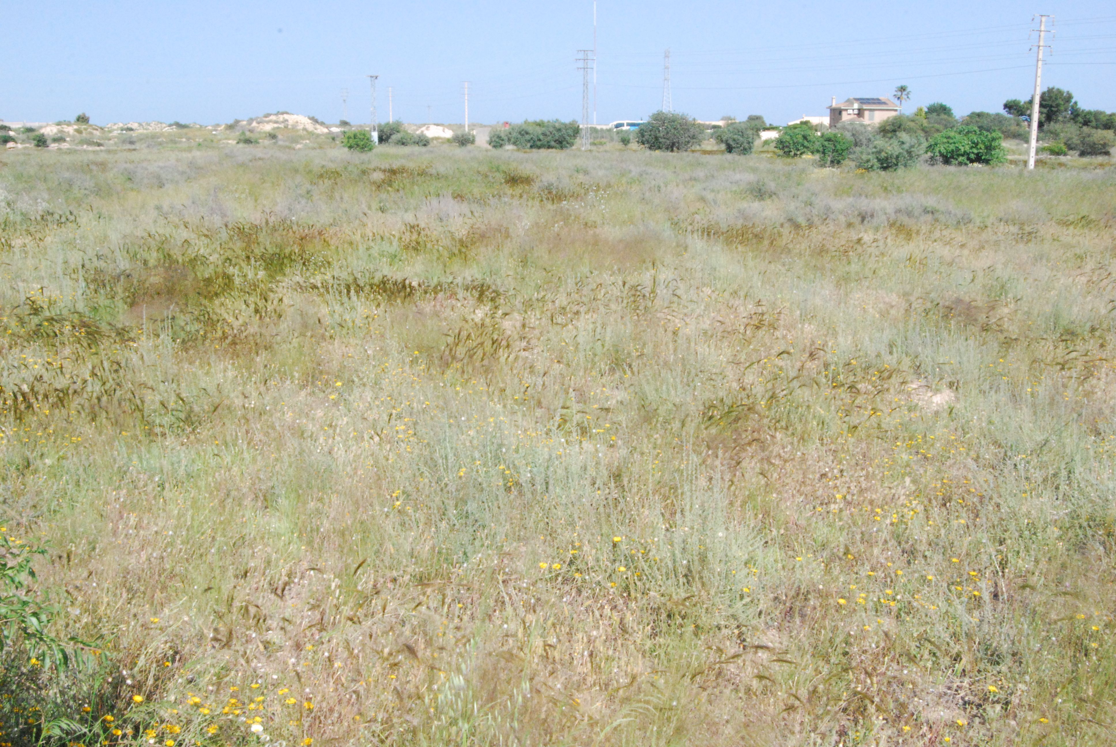 Land for sale in Mutxamel