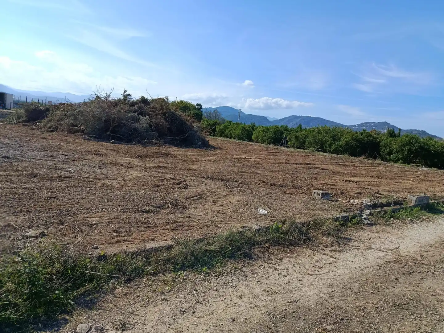Terreny rústic en venda a Polígono siete 2020, imagen 16