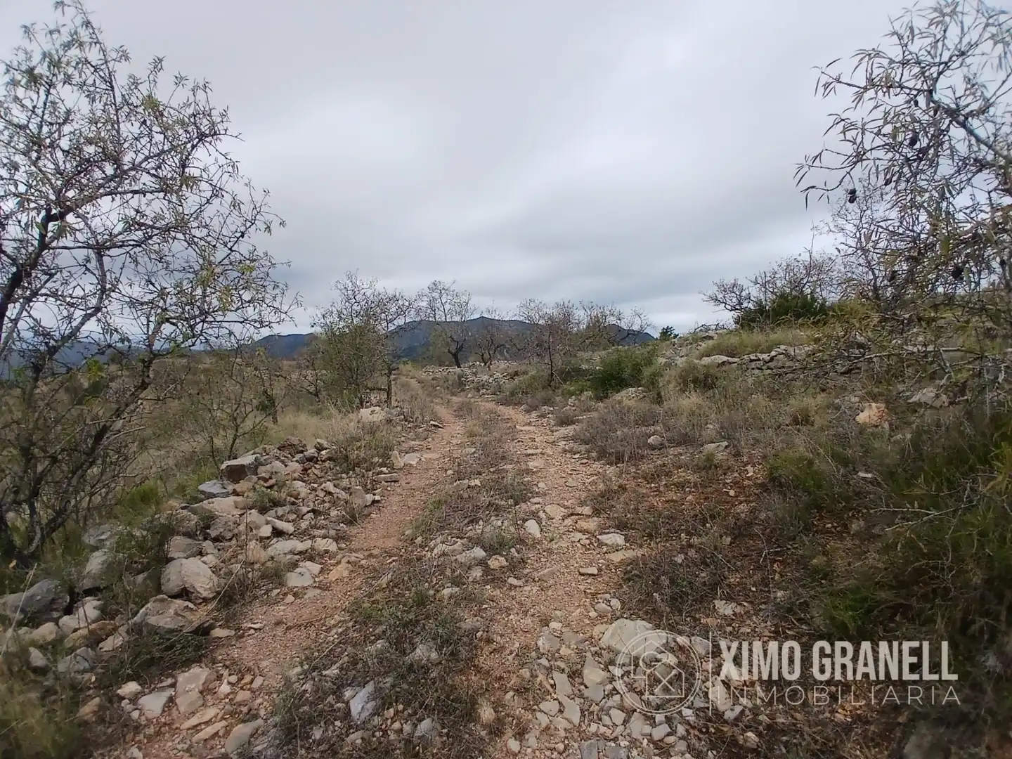 Terreny rústic en venda a La Vall d'Uixó, imagen 8