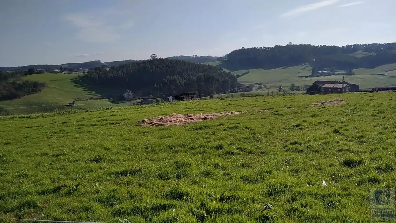 Wohnbaugrundstück zum Verkauf in Bocines - Nembro - Cardo, imagen 3