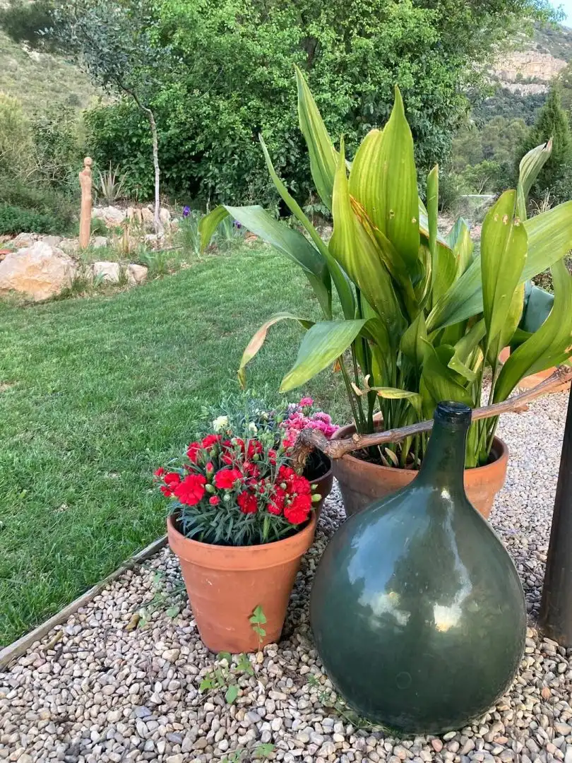 Jardín de Finca rústica en venta en Freginals con Terraza y Trastero