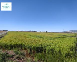 Land for sale in Sant Carles de la Ràpita