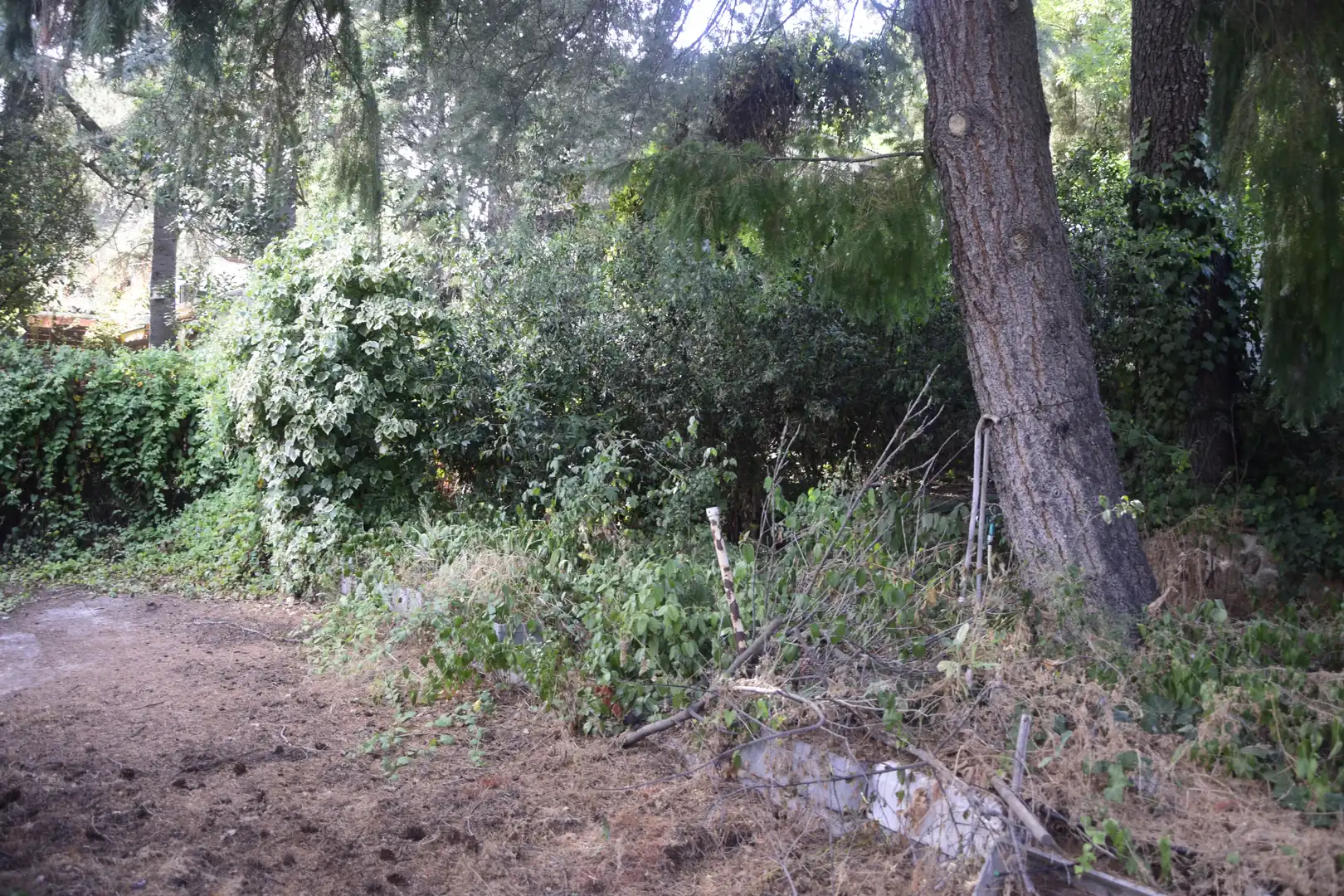 Casa amb jardí en venda a Autovía de los Pantanos, imagen 2