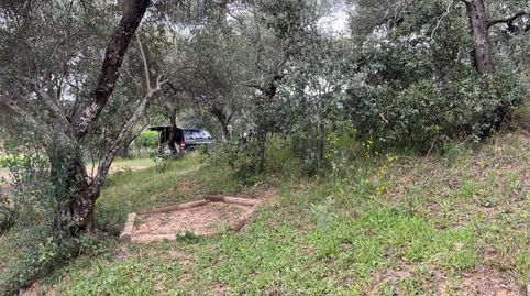 Foto 4 de Finca rústica en venta en Aldea el Collado, 2, Alájar, Huelva