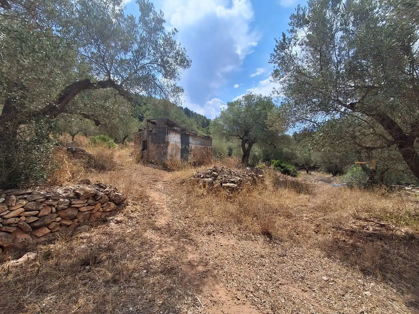 Finca rústica en venda en Tivissa amb Piscina comunitària