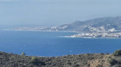 Foto 4 de Casa o chalet en venta en Calle Cerro Gordo Norte, Los Cármenes - Cerro Gordo, Almuñécar