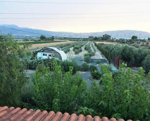 Jardí de Casa o xalet en venda en Alhama de Murcia amb Terrassa i Piscina