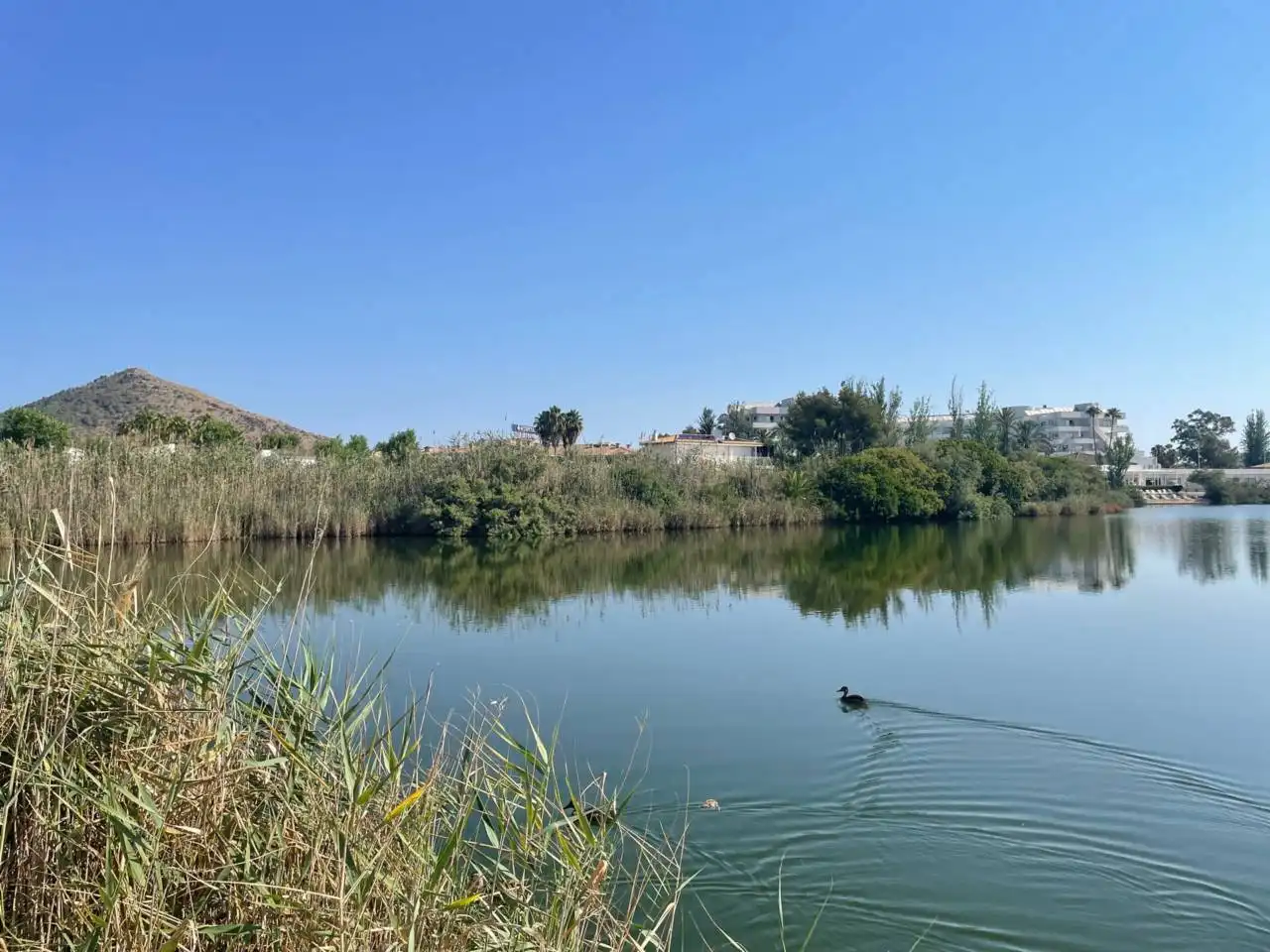 Terreny residencial en venda a Port d'Alcúdia - Platja d'Alcúdia, imagen 11