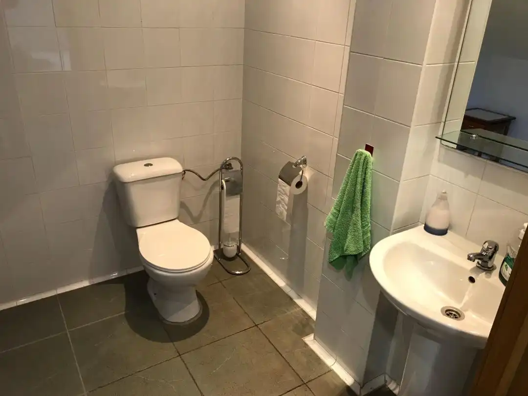 Badezimmer von Geschaftsraum zum Verkauf in Berriz