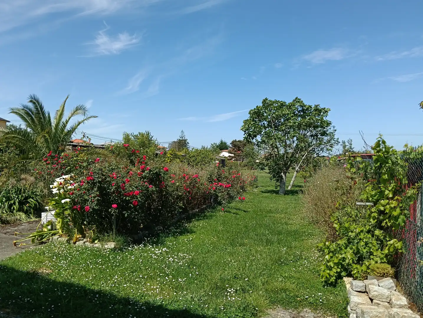 Maison avec jardin à vendre à Coirós, imagen 9
