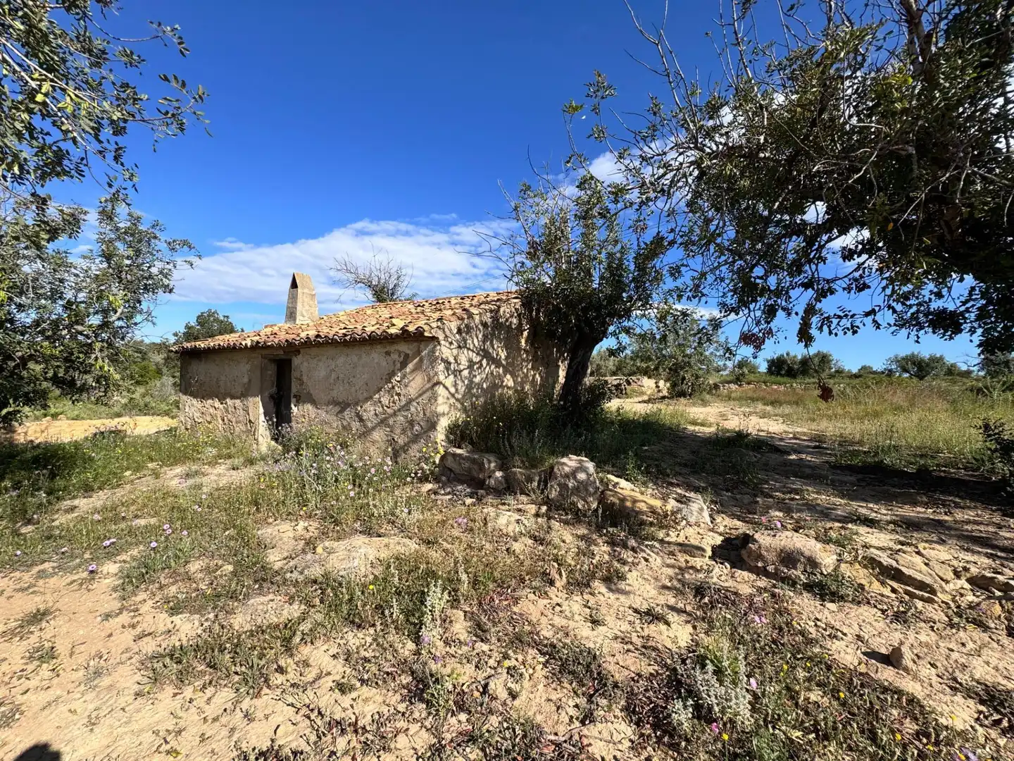 Land for sale in Polígono 26 Parcela 21 CASA BLANCA-BARBETA. TORRE, 26, Poligono Mas del Jutge