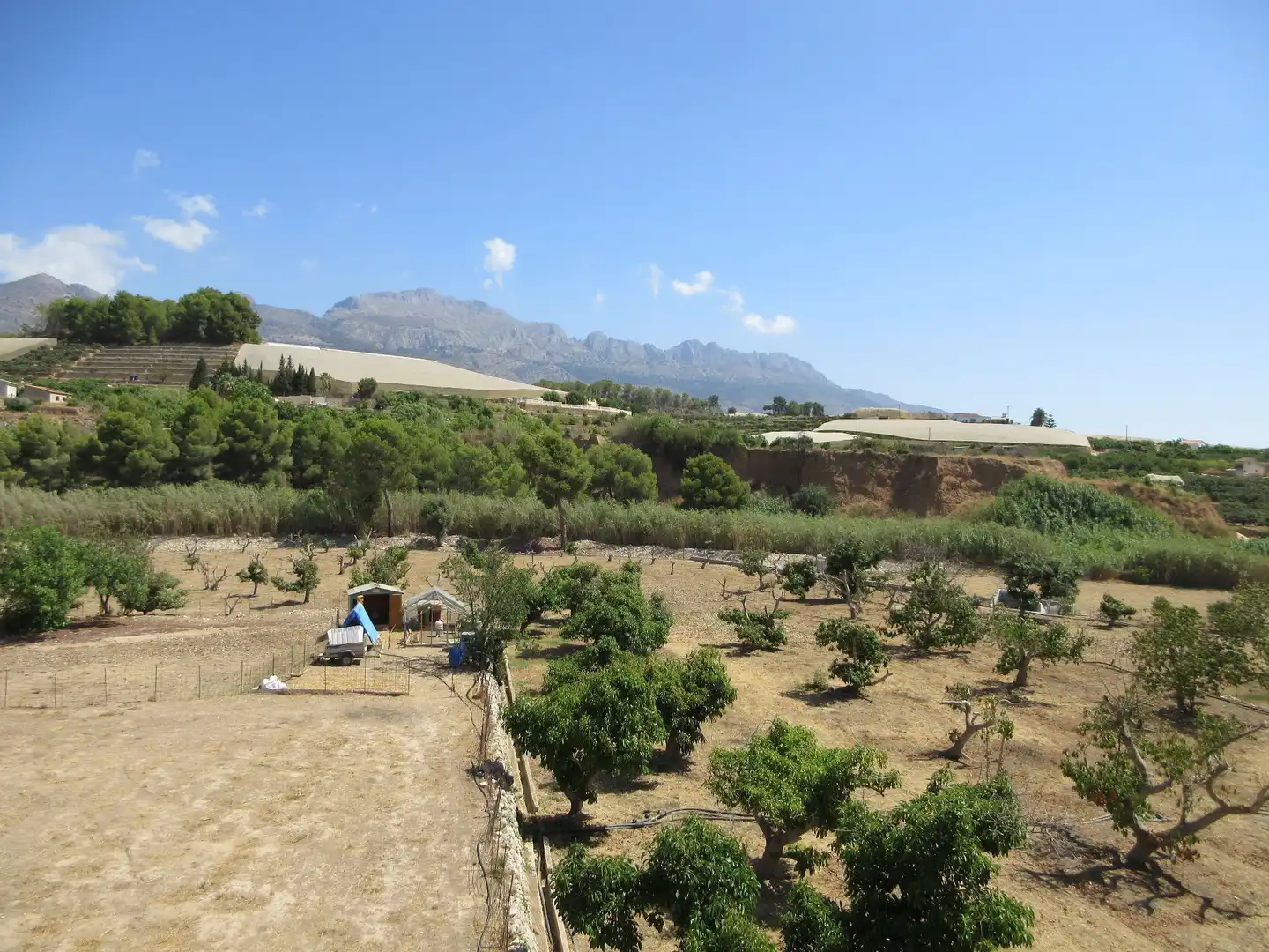 Terreno en venta en La Nucia