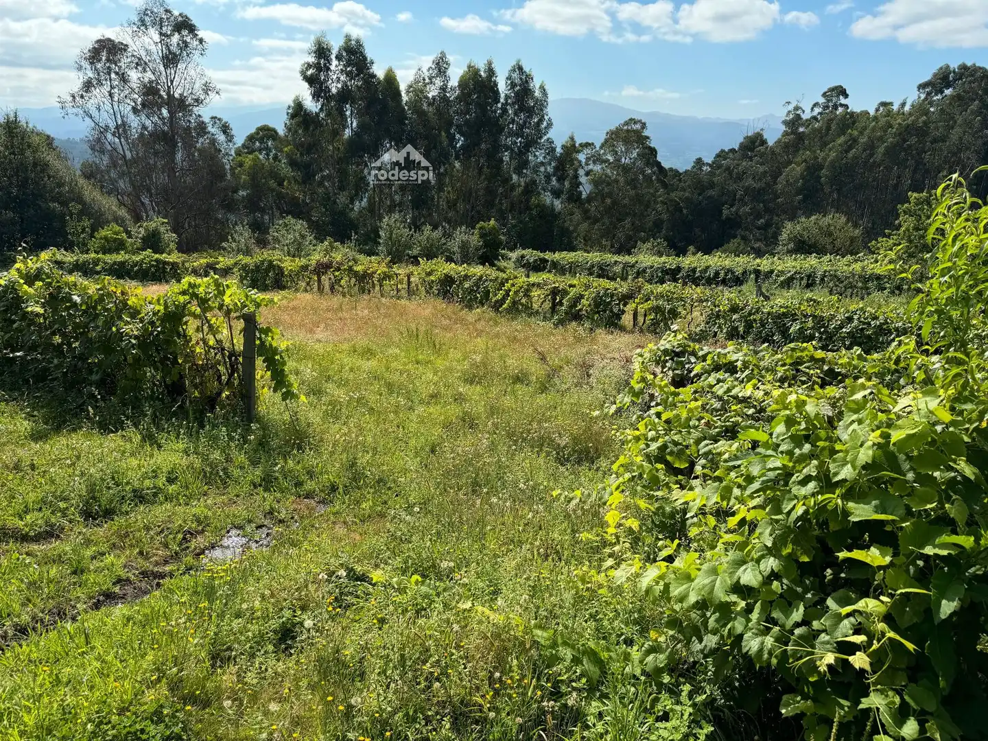 Xalet en venda a A Cañiza, imagen 49