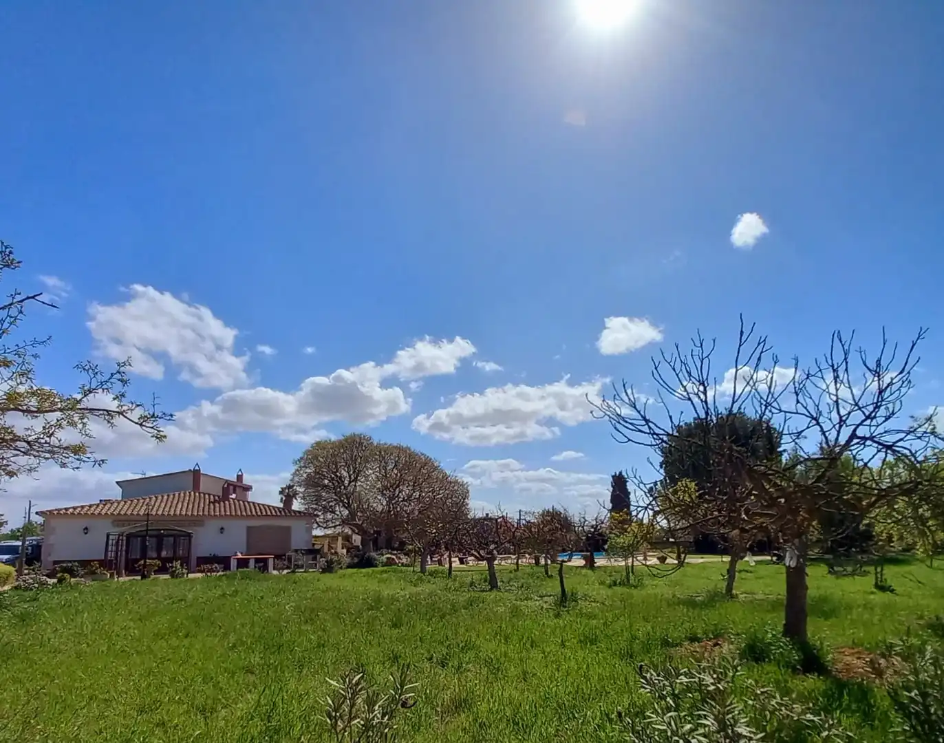 Casa o xalet en venda a Son Sardina
