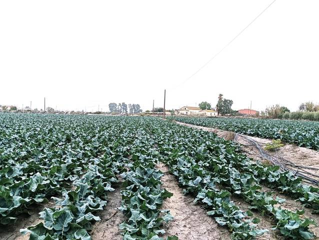 Terreno residencial en Venta en Torrecilla