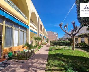 Vista exterior de Apartament en venda en Torrevieja amb Aire condicionat, Calefacció i Jardí privat
