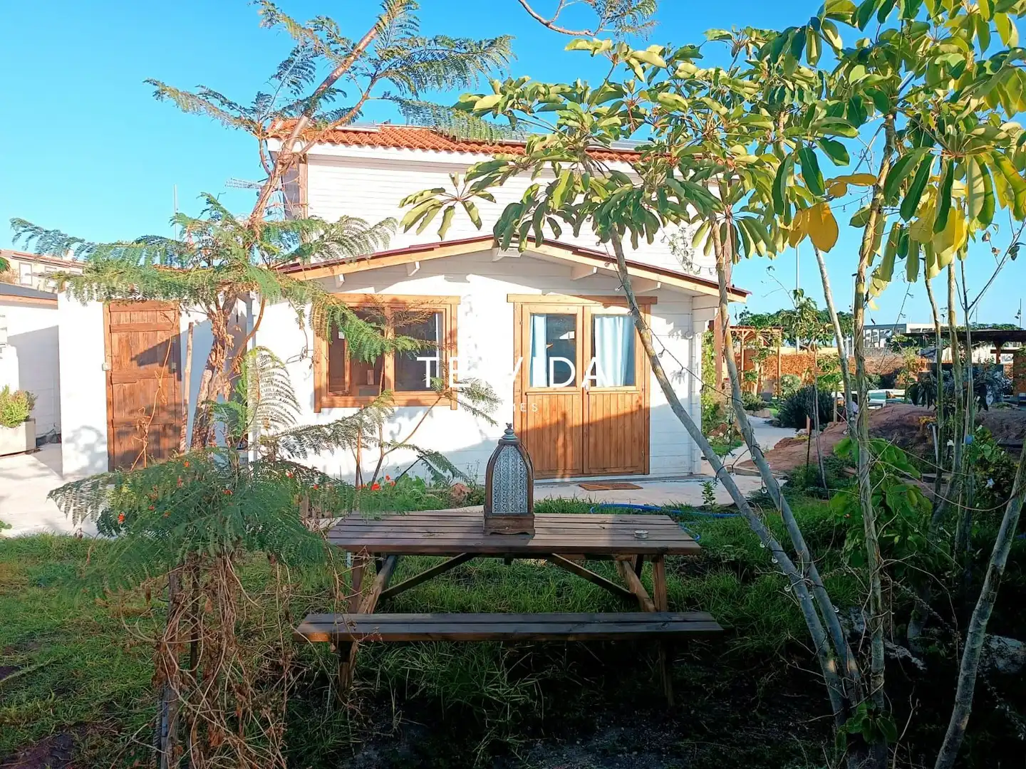 Jardí de Casa o xalet en venda en Granadilla de Abona amb Traster, Piscina i Moblat