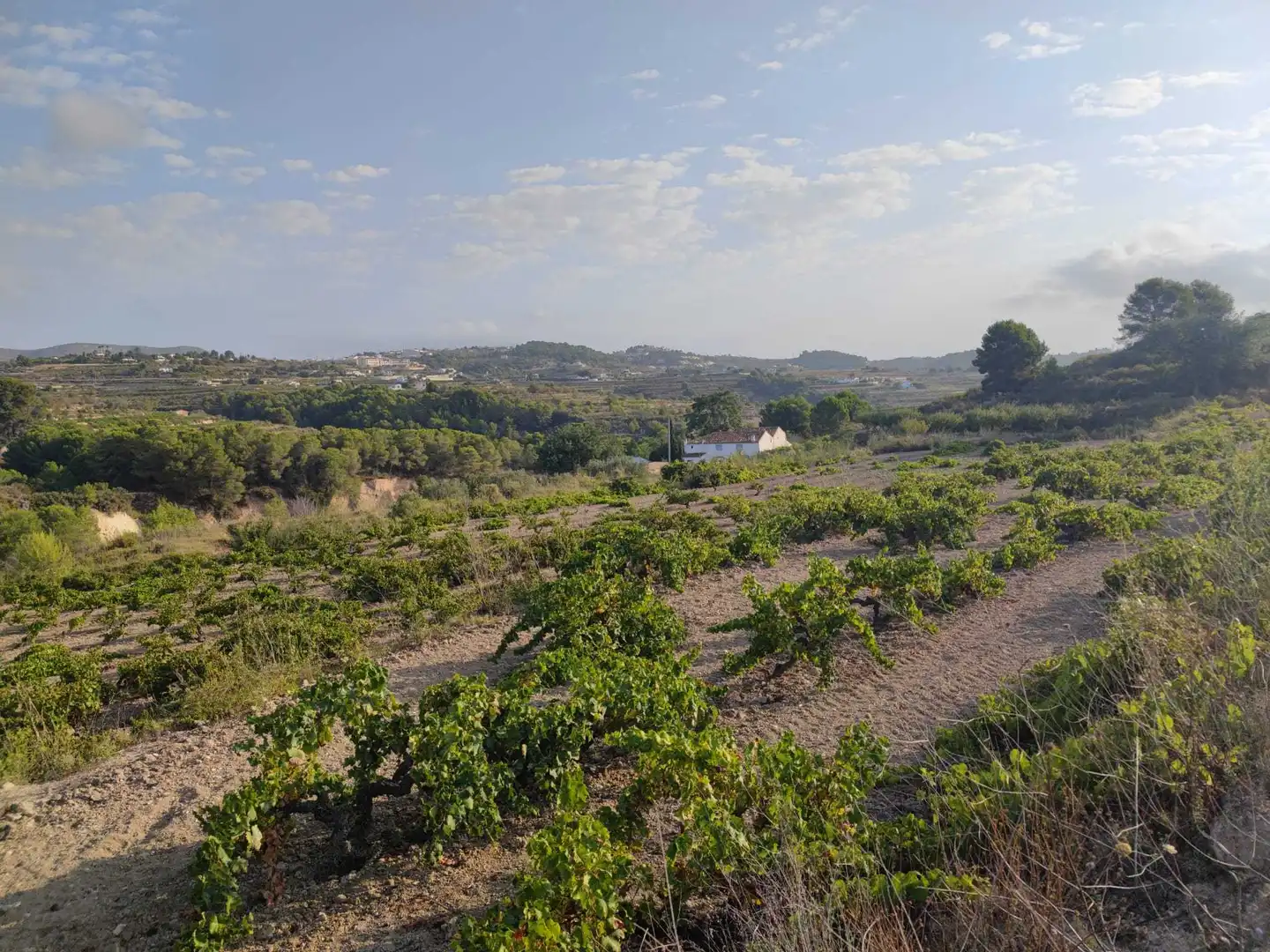 Terreny residencial en venda a Teulada, imagen 10
