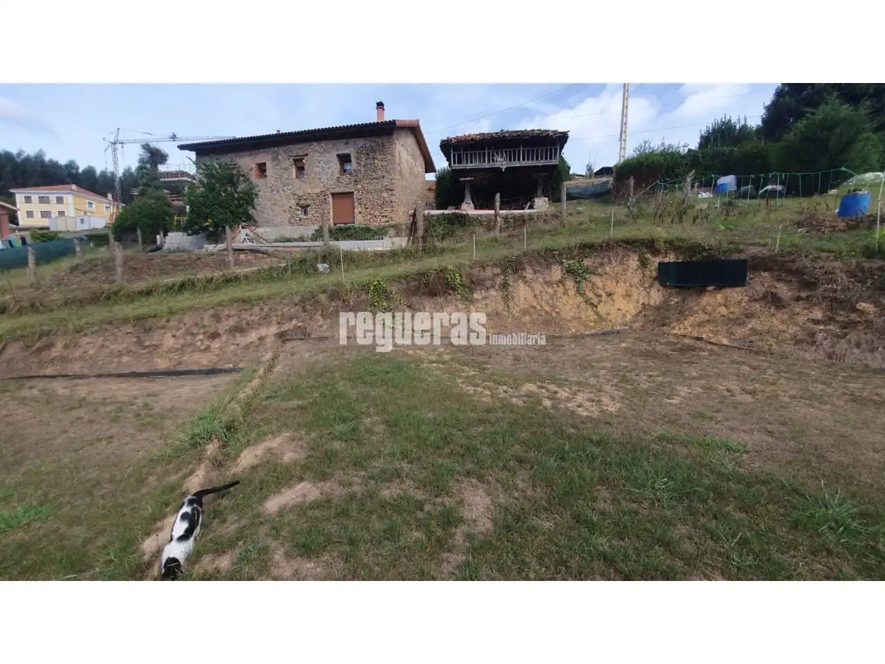 Lands and plots for sale in Magdalena, imagen 10