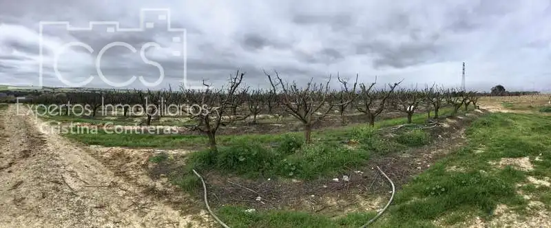 Terreno rústico en venta en Huévar del Aljarafe, imagen 27