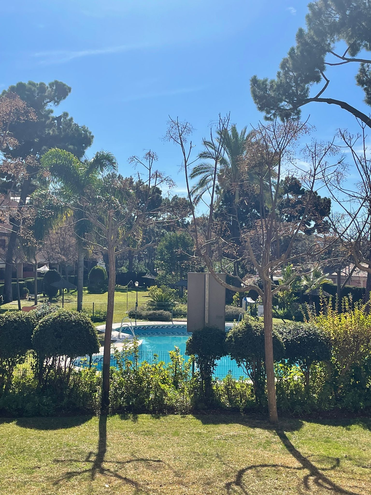 Jardí de Planta baixa de lloguer en Marbella amb Terrassa, Piscina i Piscina comunitària