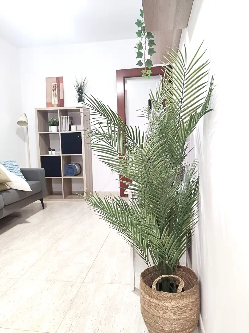 Habitación de Piso de alquiler en Terrassa con Amueblado, Horno y Lavadora