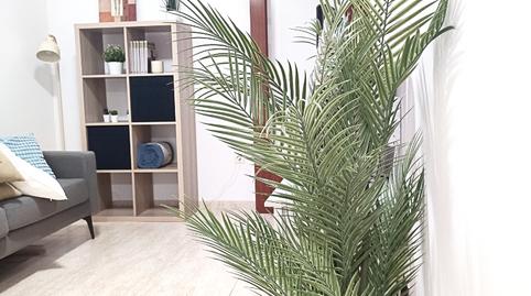 Foto 2 de Pis de lloguer a Segle XX, Barcelona