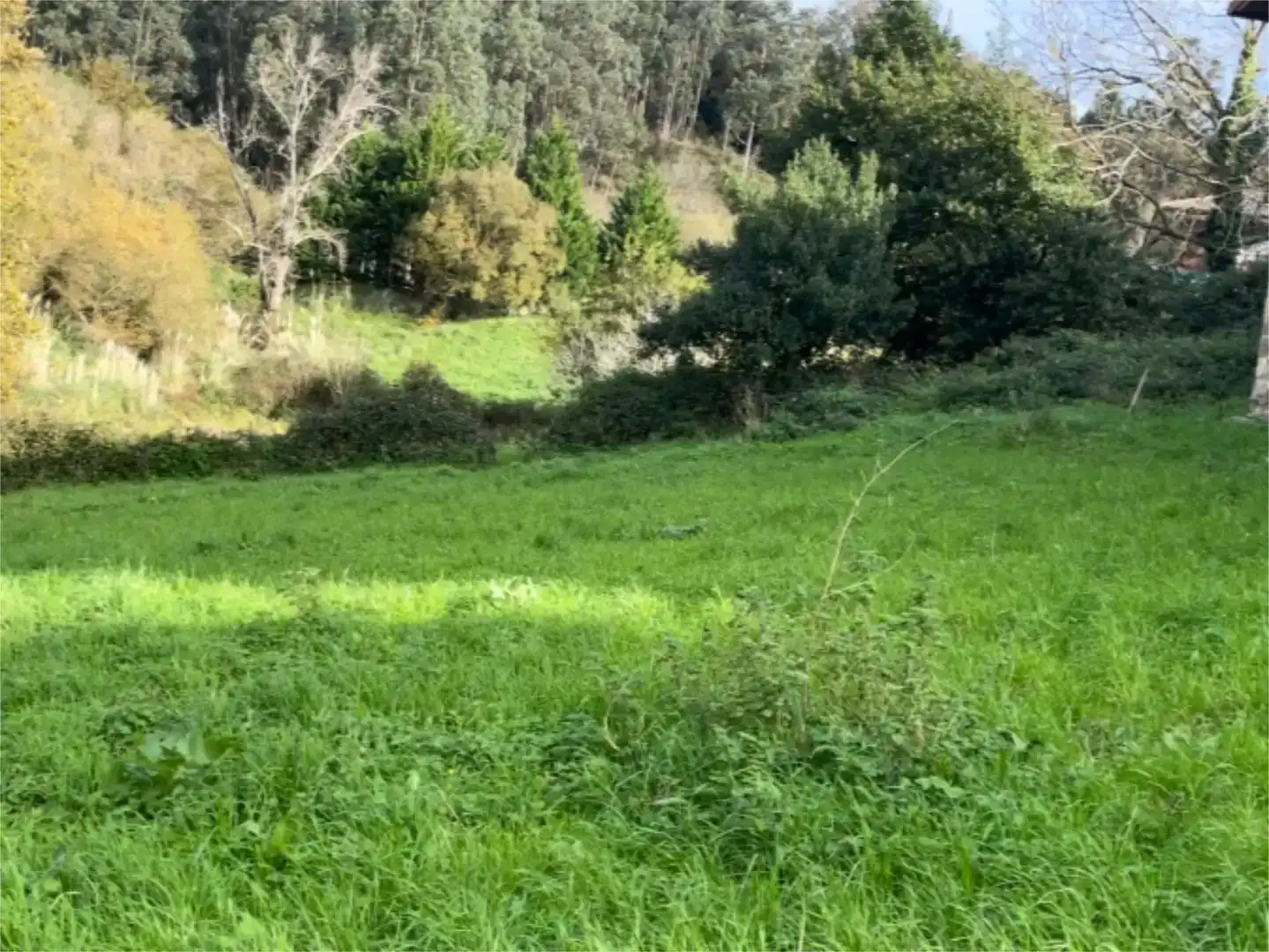 Piso en venta en Limpias con Jardín privado