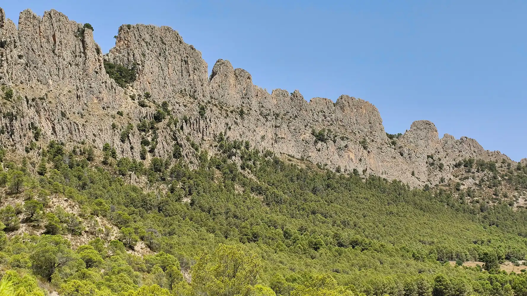 Vista exterior de Finca rústica en venda en Finestrat amb Aire condicionat, Calefacció i Jardí privat