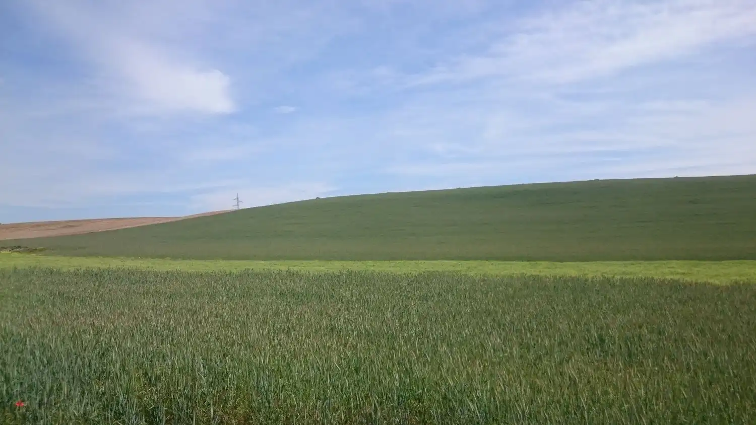 Finca rústica en venta en GURREA DE GALLEGO, Gurrea de Gállego