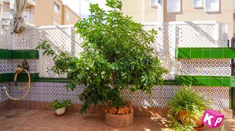 Photo 4 of Planta baja for sale in Francisco Canto, Playa Tamarit - Playa Lissa, Alicante