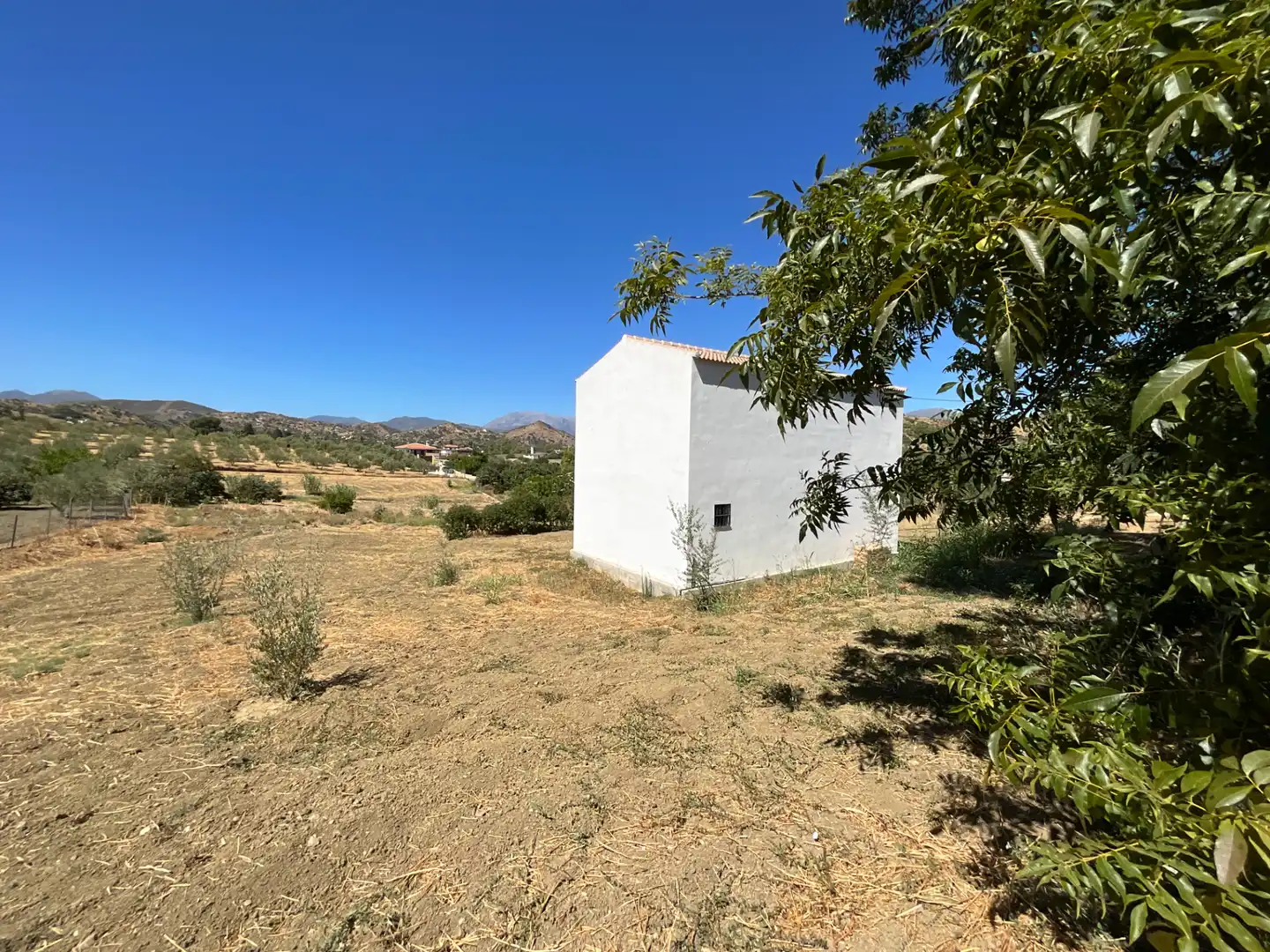 Finca rústica en venda en Coín
