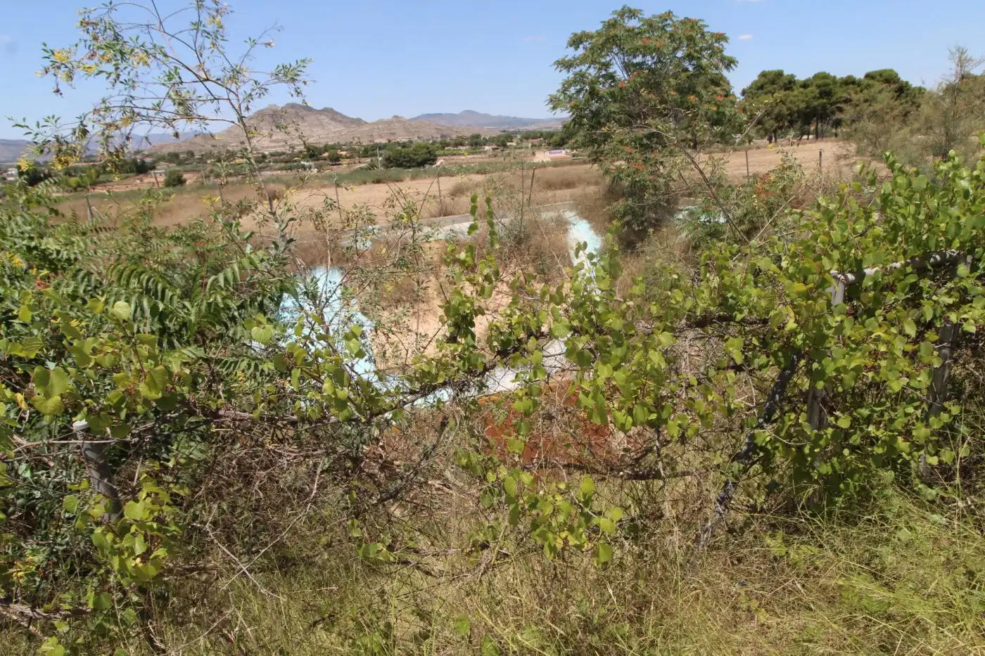 Hotel en venta en Pedanías Este, imagen 5
