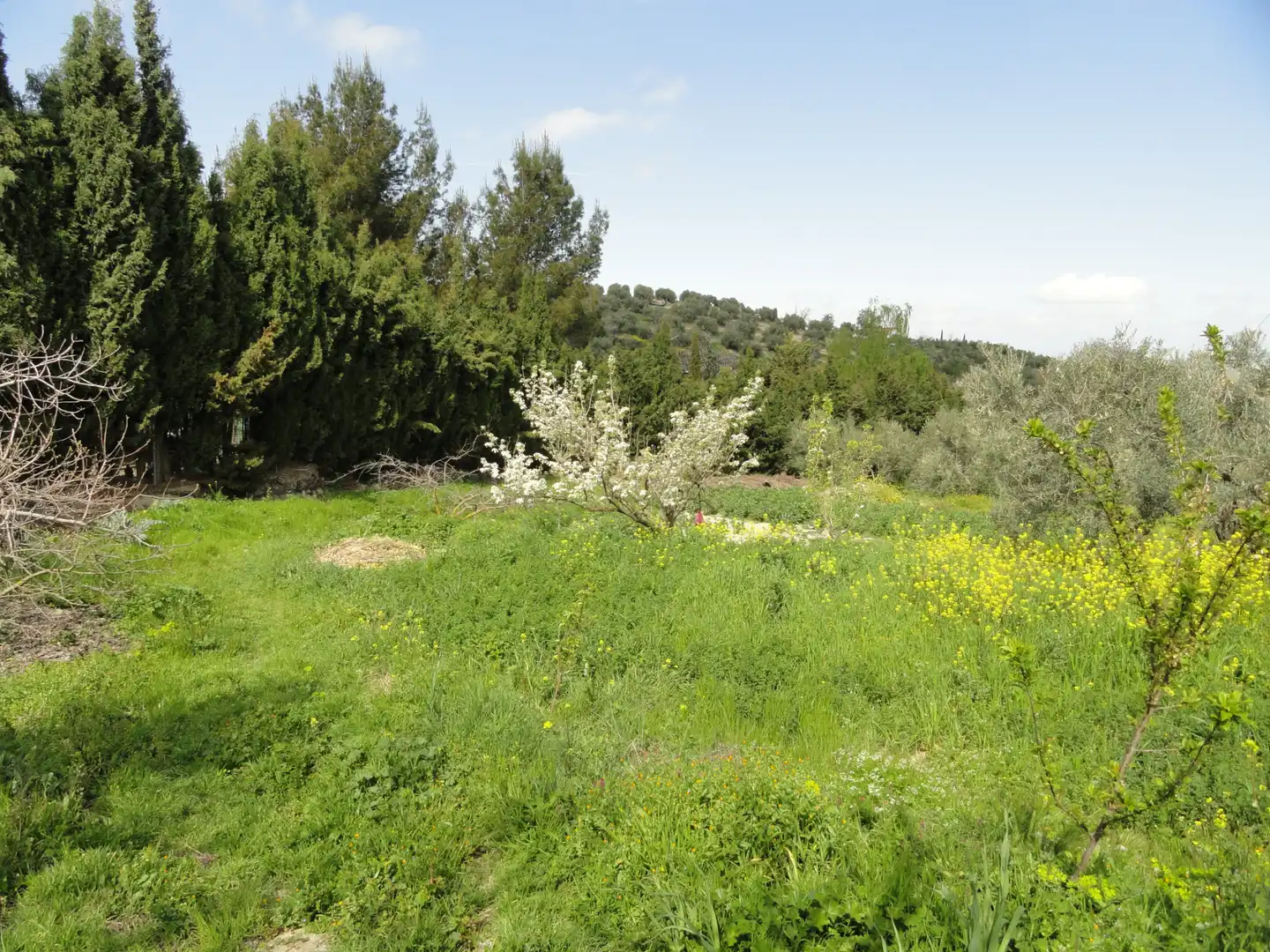 Land for sale in La Iruela