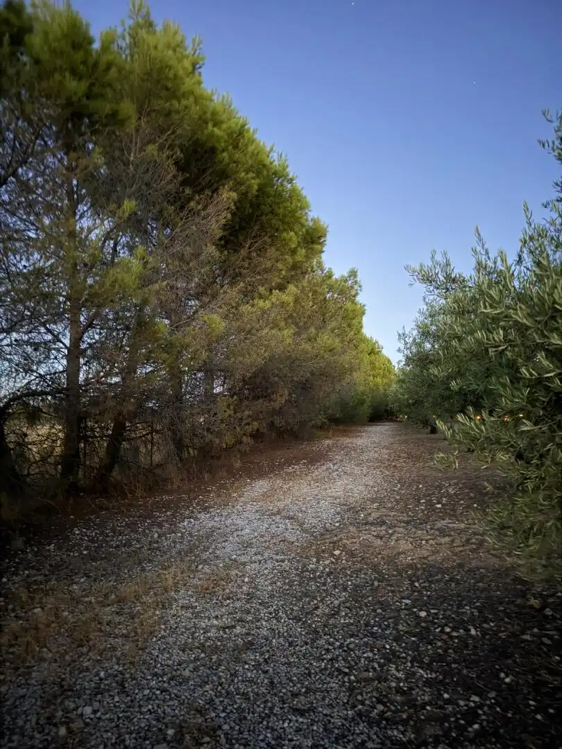Terreni e lotti in vendita a Chinchón