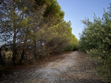 Terreni e lotti in vendita a Chinchón