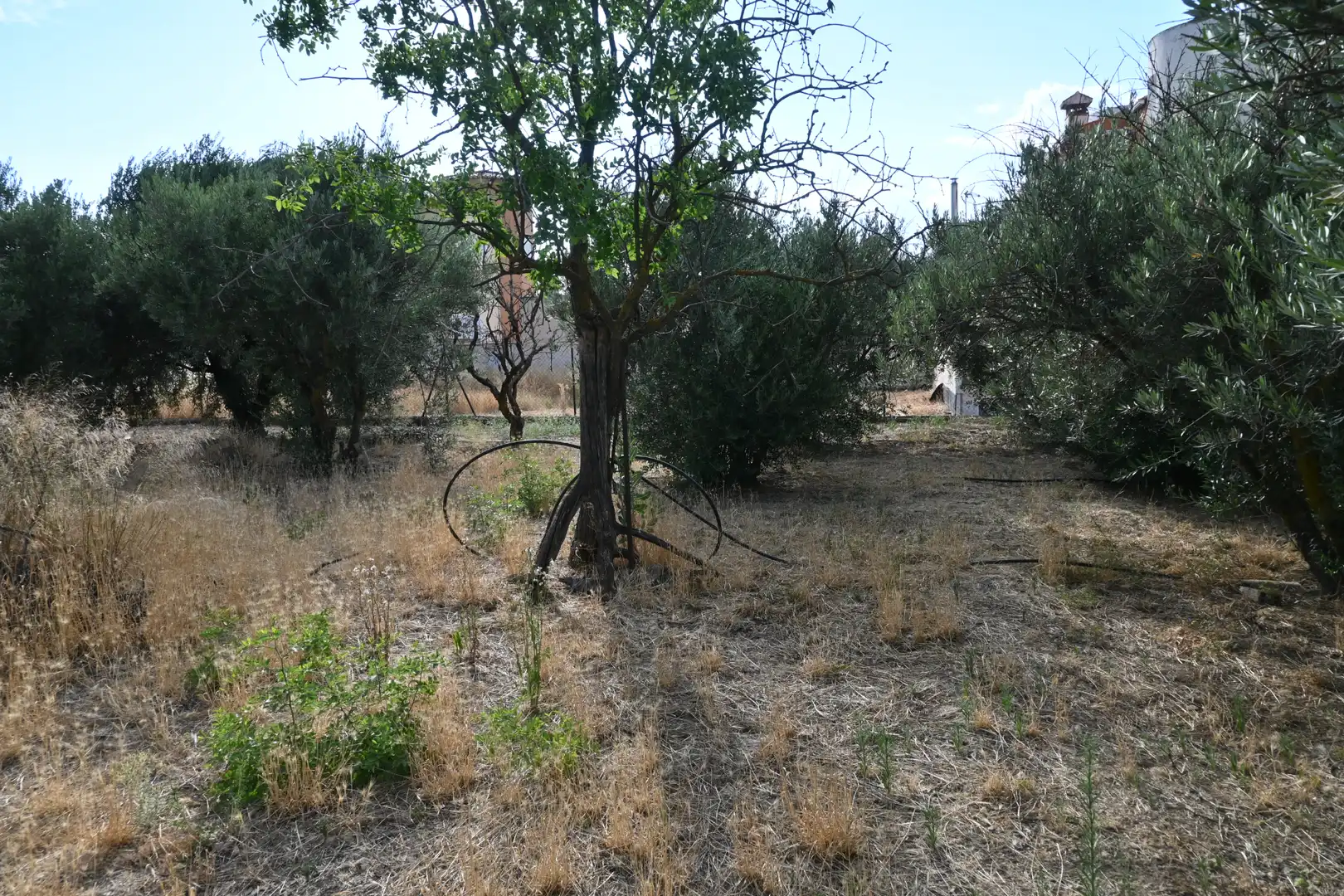 Residencial en venta en Alhendín