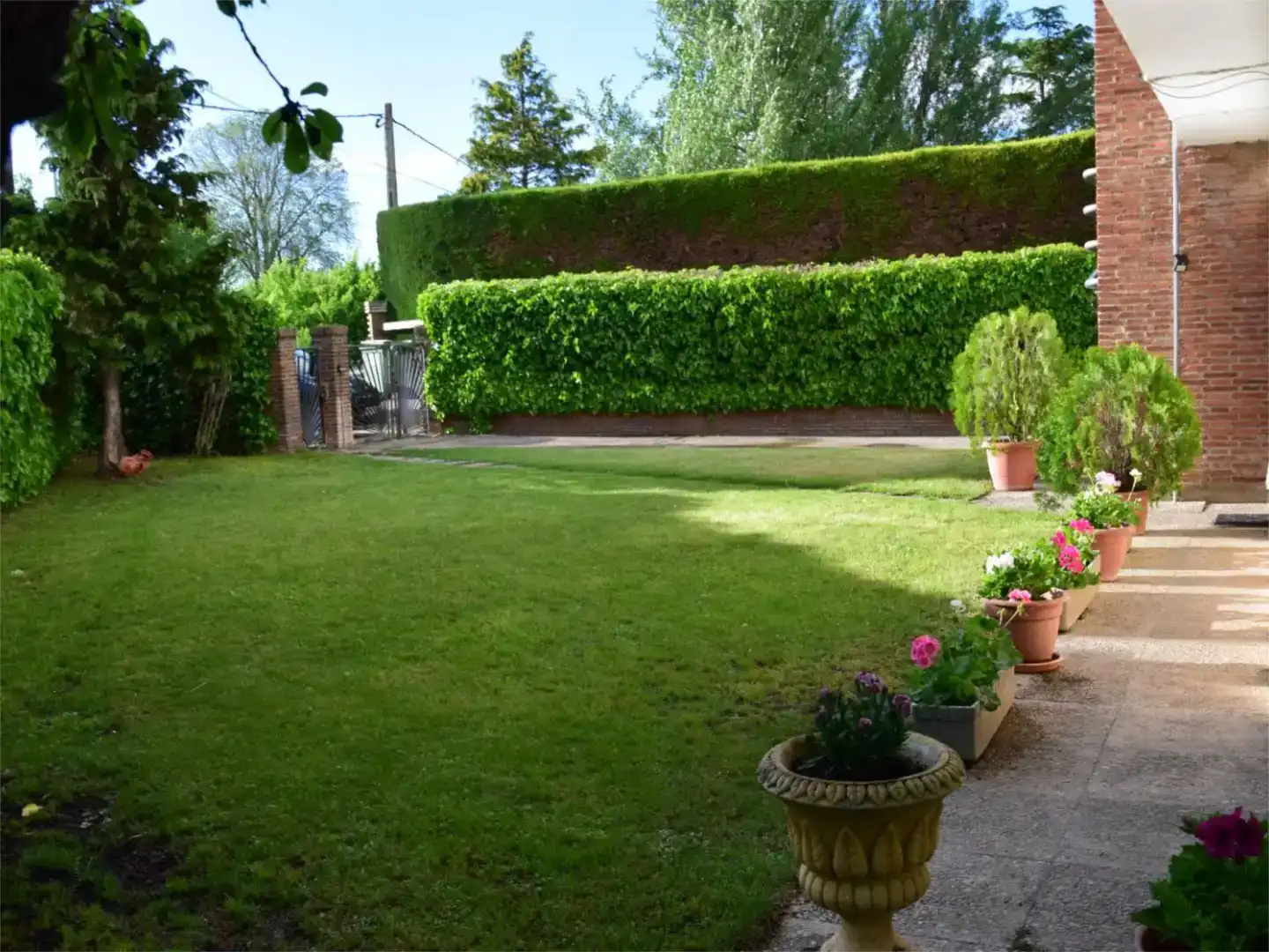 Jardí de Casa o xalet en venda en Palencia Capital amb Piscina i Balcó