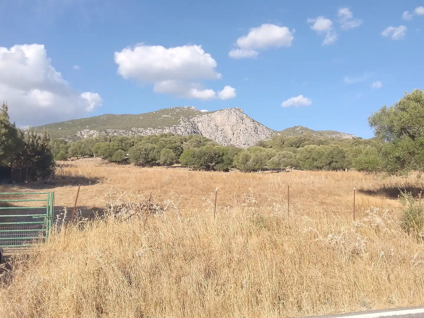 Terreni e lotti in vendita a Ubrique