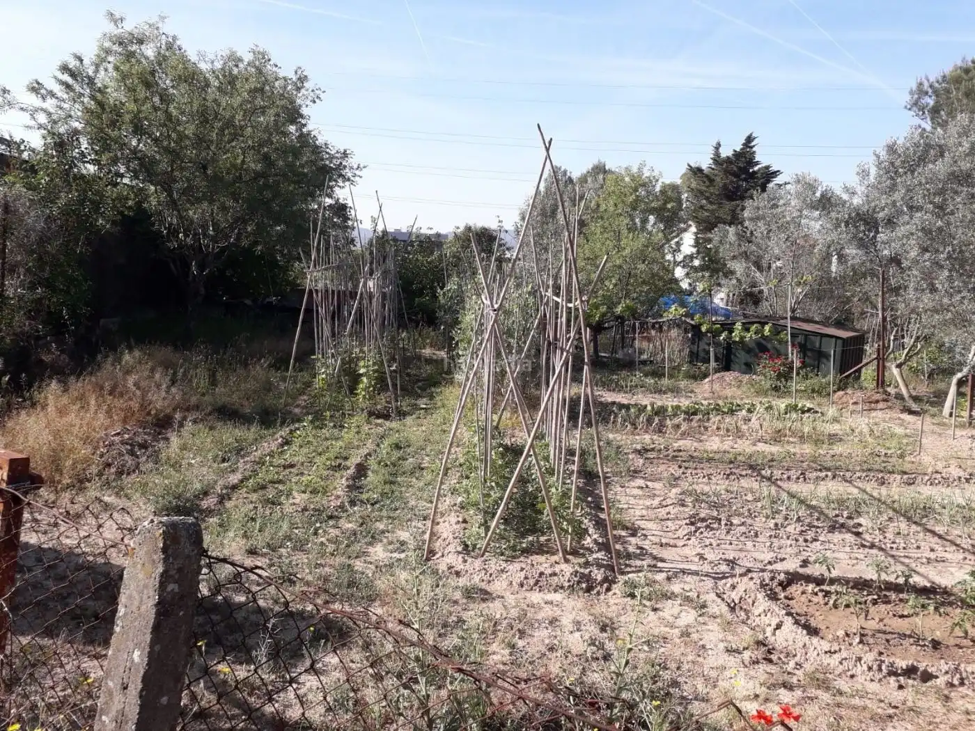 Terreno rustico in vendita a Carrer d'Altimira 22, imagen 5