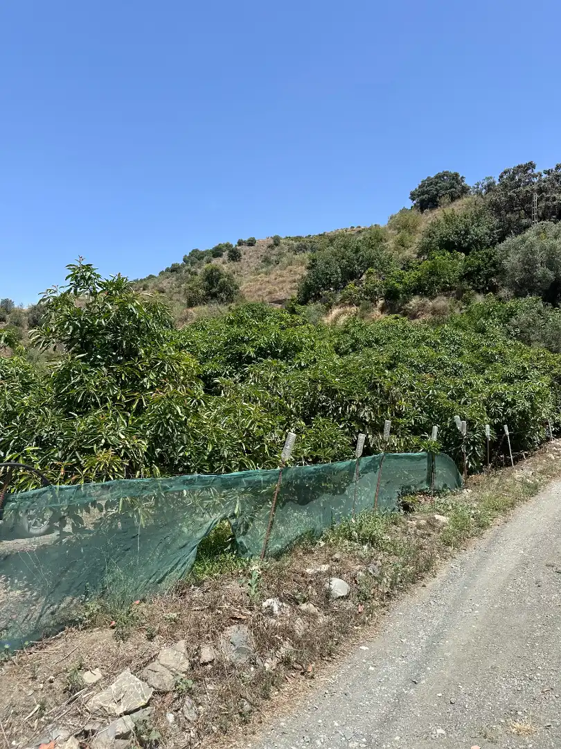 Finca rústica en venda en Benamargosa amb Aire condicionat, Jardí privat i Terrassa
