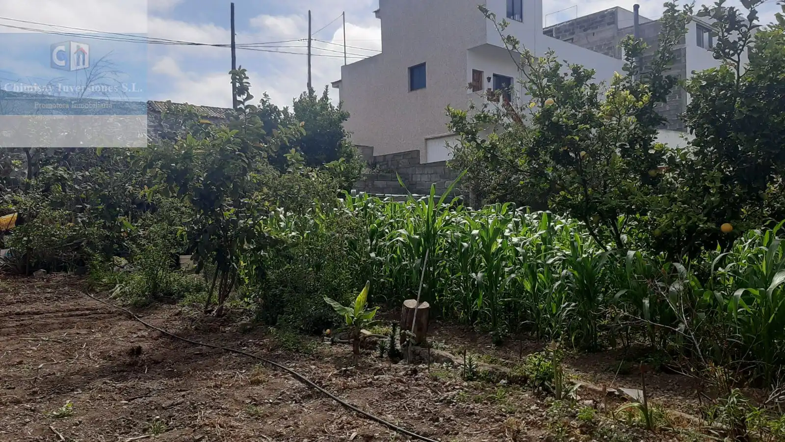 Lands and plots for sale in Buen Paso - La Mancha