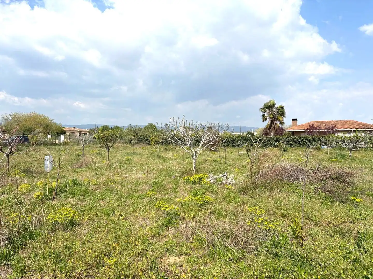 Rural land for sale in Santa Oliva, imagen 12