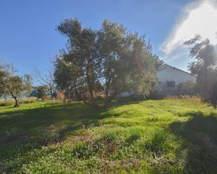 Finca rústica en venda en Gójar amb Calefacció, Jardí privat i Terrassa