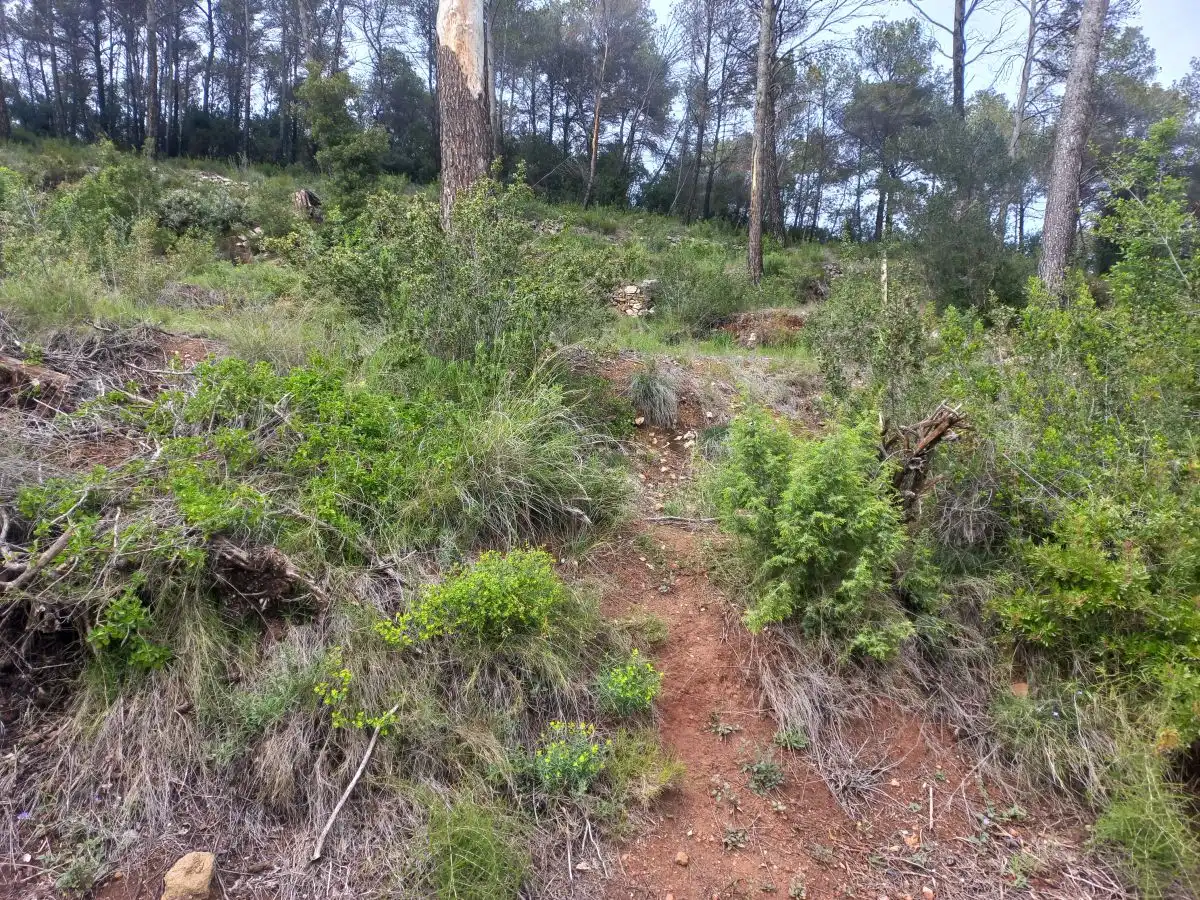 Lands and plots for sale in Bigues i Riells del Fai, imagen 4