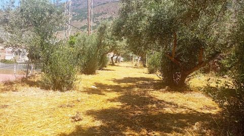 TERRENO URBANO EN EL CENTRO DE CELÍN, immagine 3